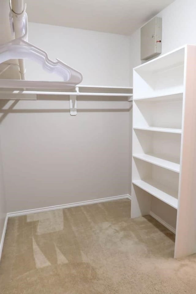 walk in closet with carpet flooring