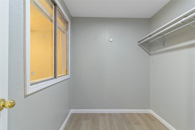 spacious closet featuring light hardwood / wood-style flooring