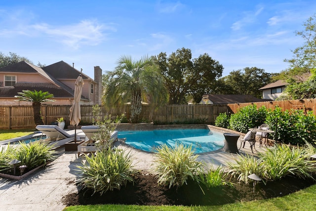 view of pool with a patio, a fenced backyard, and a fenced in pool