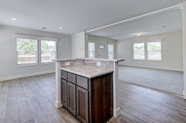 kitchen with dark brown cabinetry, a center island, and a wealth of natural light