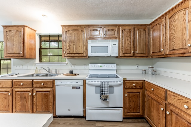 kitchen with white appliances, sink, dark wood-type flooring, and a wealth of natural light