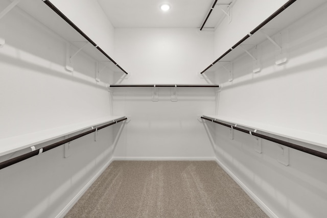 spacious closet with carpet