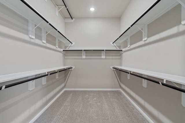 spacious closet featuring carpet