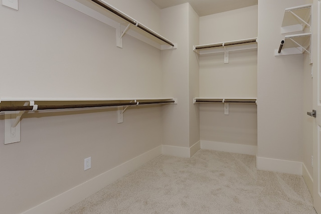 spacious closet featuring light carpet