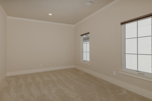 unfurnished room with crown molding and carpet