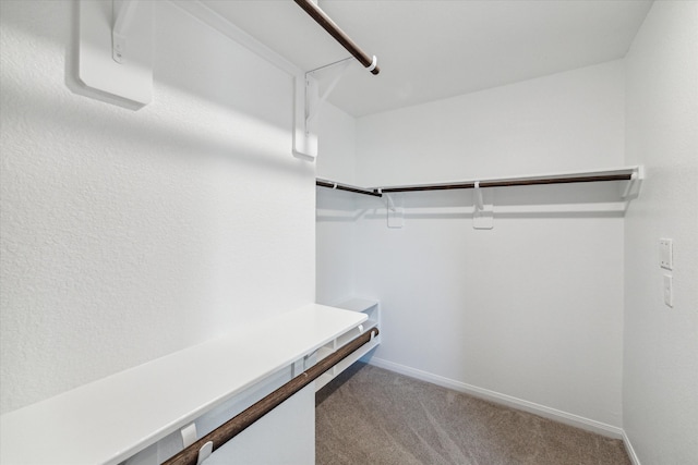 walk in closet featuring light colored carpet