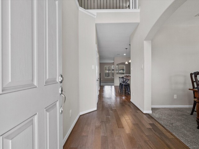 foyer entrance featuring dark hardwood / wood-style flooring