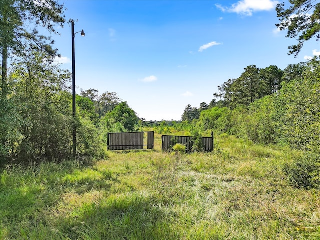 1262 N Fostoria Rd, Cleveland, TX 77328 - photo 4