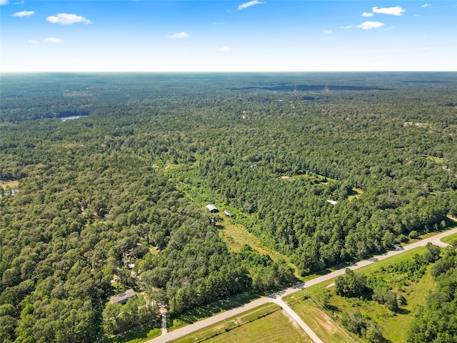 1262 N Fostoria Rd, Cleveland, TX 77328 - photo 5