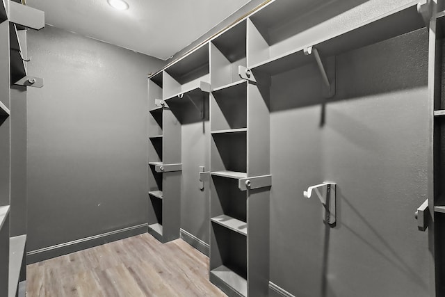 walk in closet with light wood-type flooring