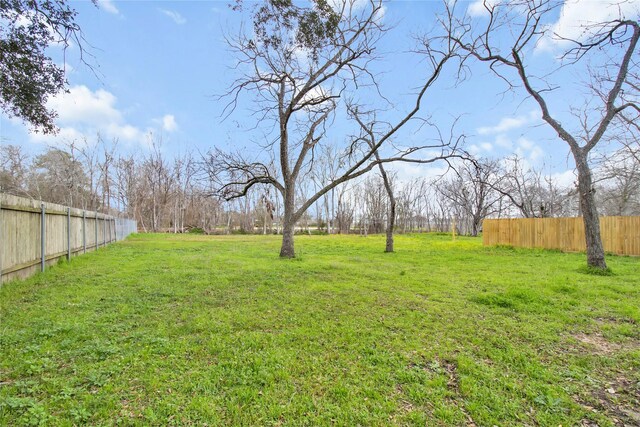 1307 Brooks Ave, Rosenberg, TX 77471 - view of yard