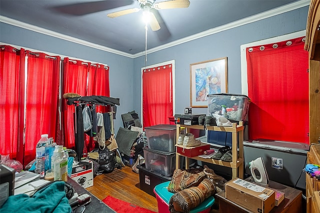 interior space featuring ceiling fan, crown molding, and wood-type flooring