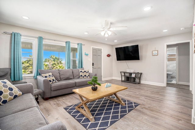 living room featuring ceiling fan and light hardwood / wood-style floors