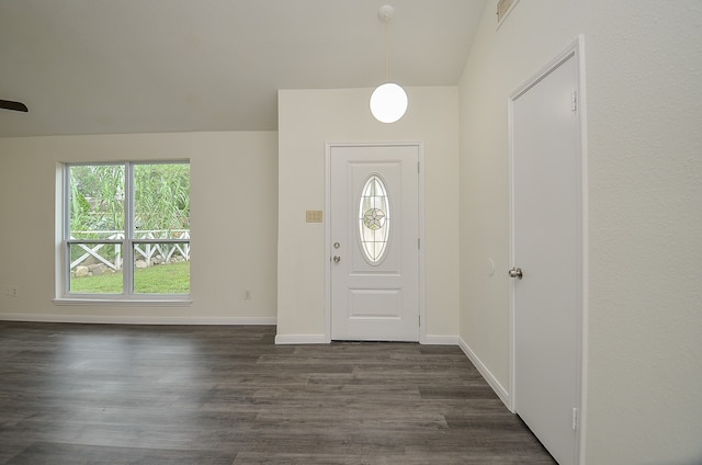 foyer entrance featuring a wealth of natural light and dark wood-type flooring