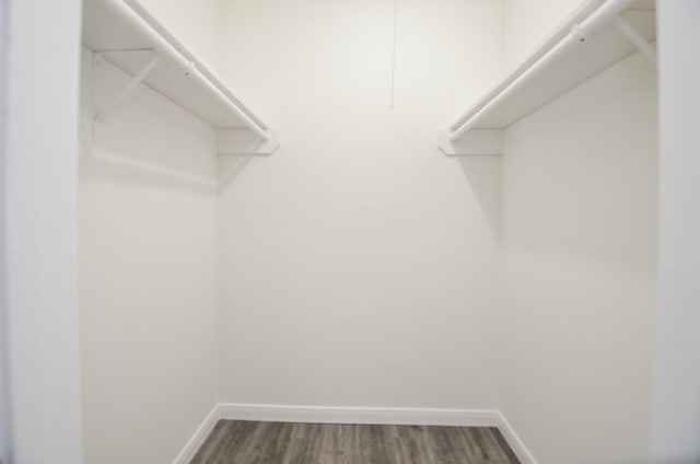 spacious closet featuring dark hardwood / wood-style flooring