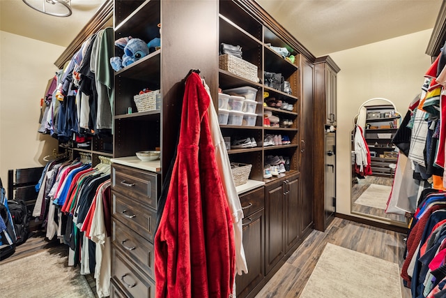 spacious closet featuring light wood-type flooring