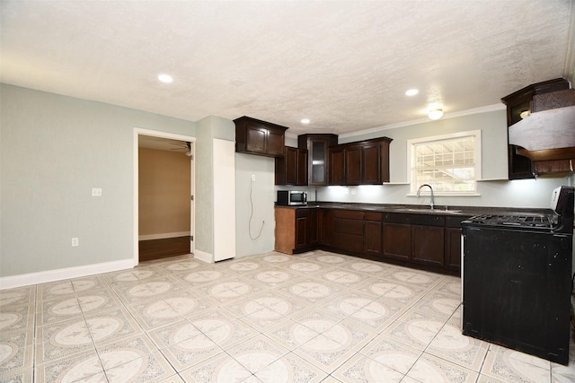 kitchen featuring dark brown cabinetry, electric range, sink, crown molding, and custom exhaust hood