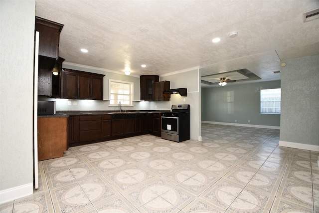 kitchen featuring a wealth of natural light, dark brown cabinets, sink, and stainless steel range