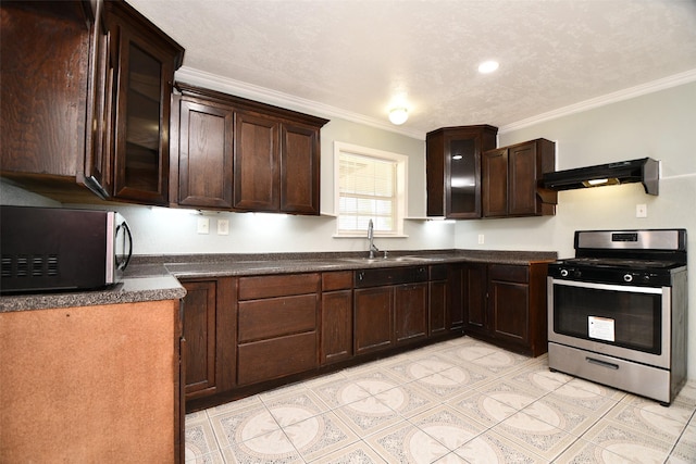 kitchen with exhaust hood, sink, ornamental molding, appliances with stainless steel finishes, and dark brown cabinetry