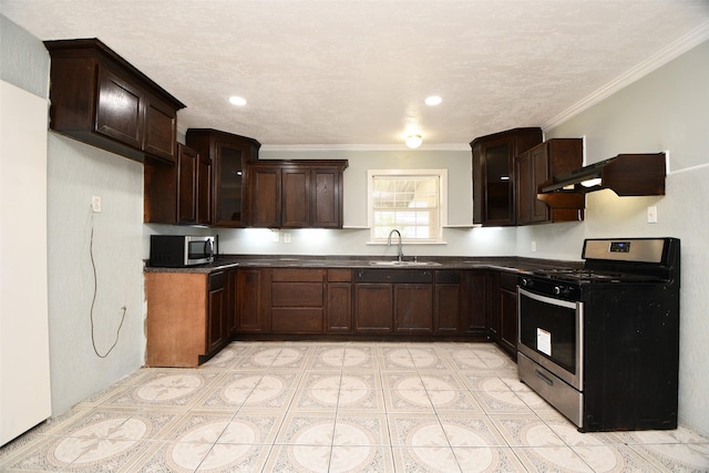 kitchen with crown molding, sink, a textured ceiling, appliances with stainless steel finishes, and dark brown cabinetry