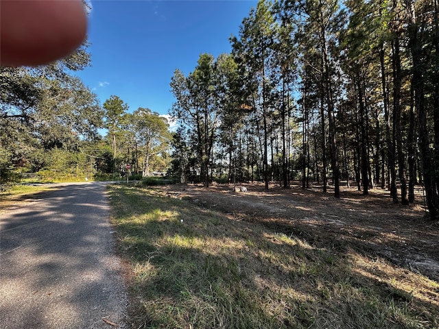 27100 Royal Coach Ln, New Caney TX, 77357 land for sale