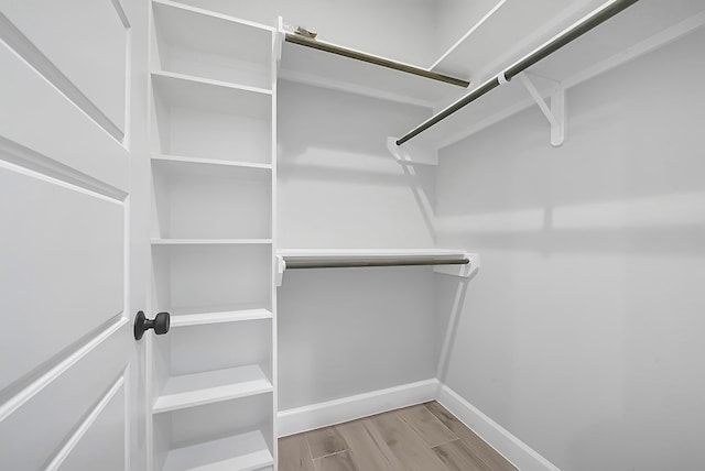 spacious closet featuring light hardwood / wood-style flooring