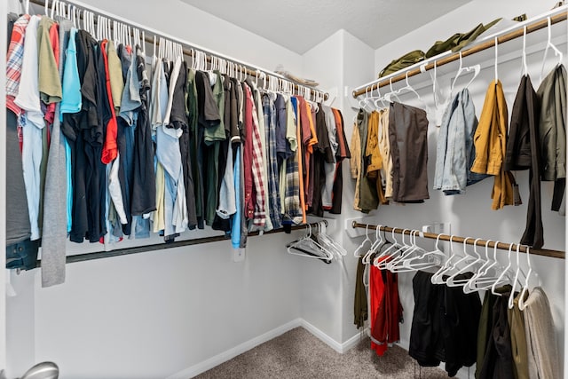 spacious closet with carpet