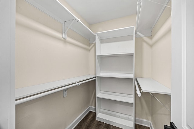 walk in closet with dark wood-type flooring