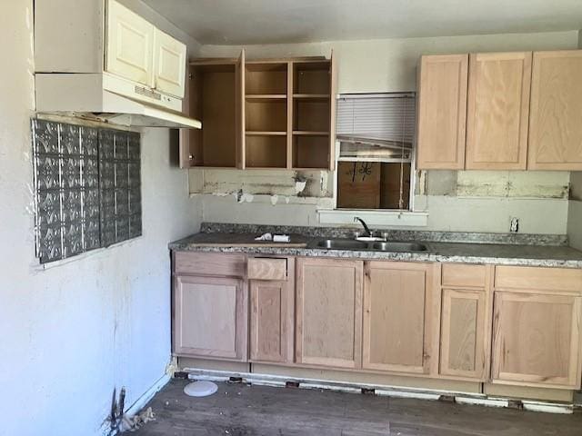 kitchen featuring light brown cabinets and sink