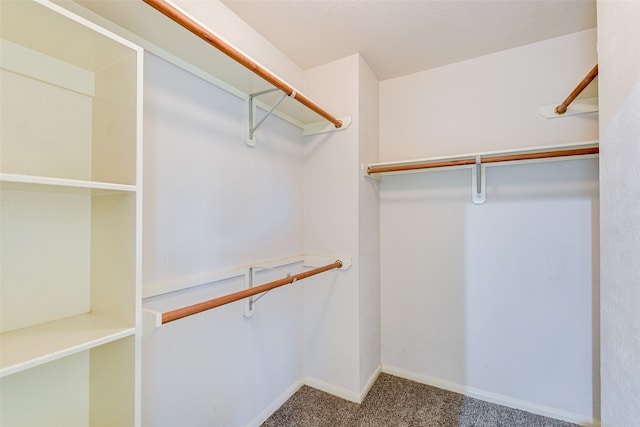 walk in closet with carpet