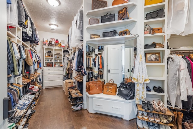 spacious closet featuring wood-type flooring