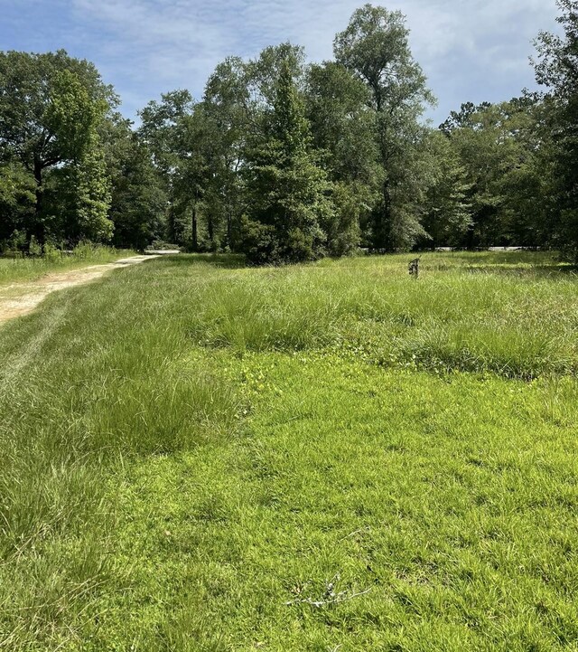 5552 Fm 2246 7522, Buna, TX 77612
