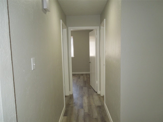 corridor featuring dark wood-type flooring