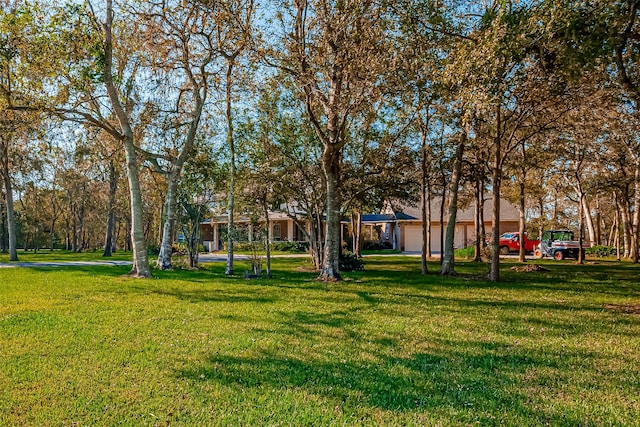 view of community featuring a yard