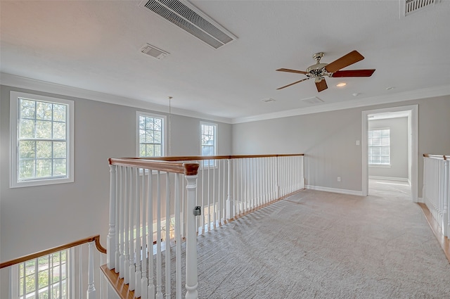 hall featuring crown molding, plenty of natural light, and light carpet