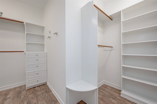 spacious closet with light wood-type flooring