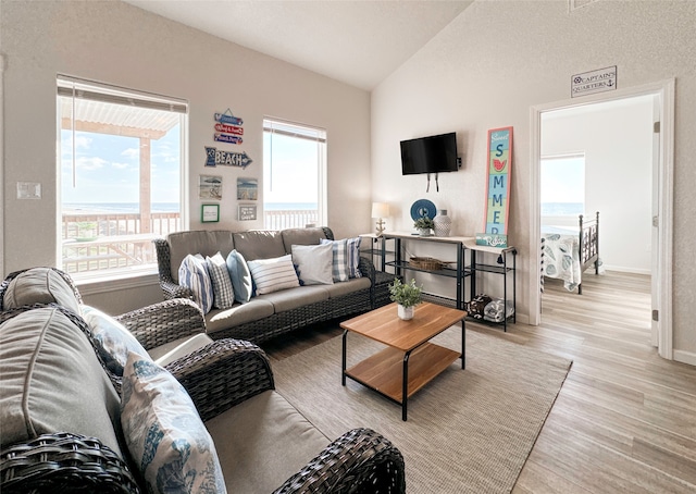 living room featuring light hardwood / wood-style floors and vaulted ceiling