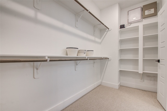 spacious closet featuring light colored carpet