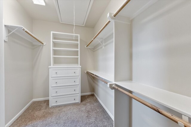 walk in closet with light colored carpet