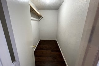 spacious closet with dark wood-type flooring