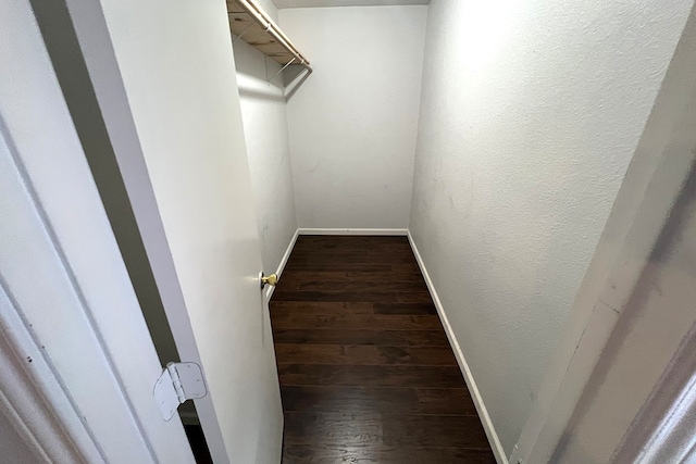 spacious closet with dark hardwood / wood-style floors