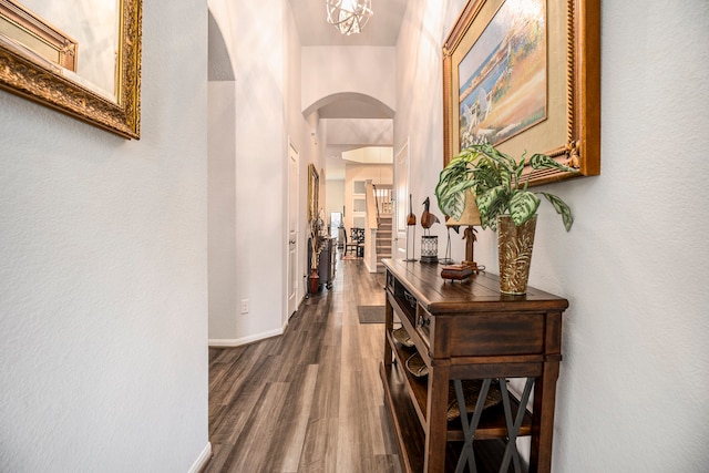 hall with dark hardwood / wood-style floors and a high ceiling