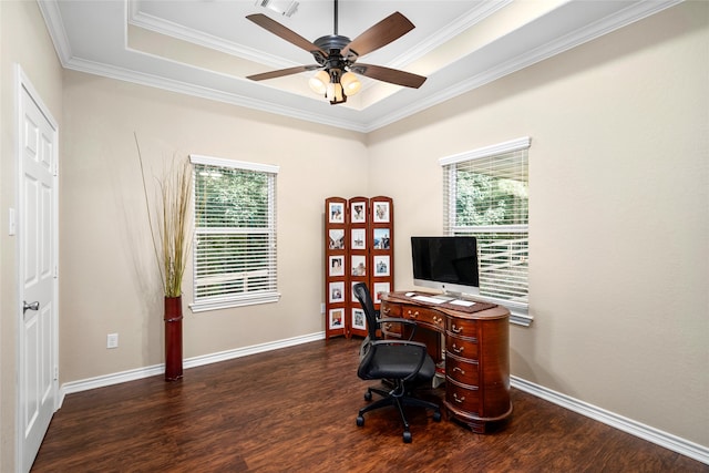 office featuring crown molding, ceiling fan, and dark wood-type flooring