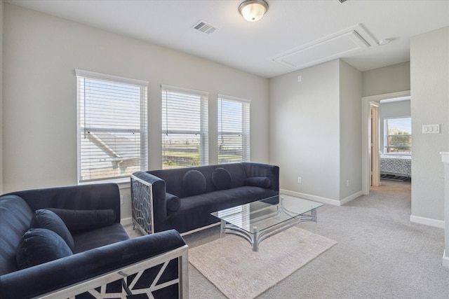 carpeted living room with plenty of natural light