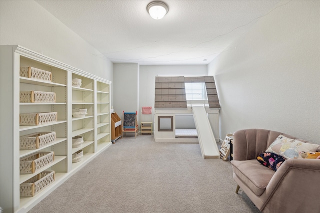 sitting room featuring a textured ceiling and light carpet