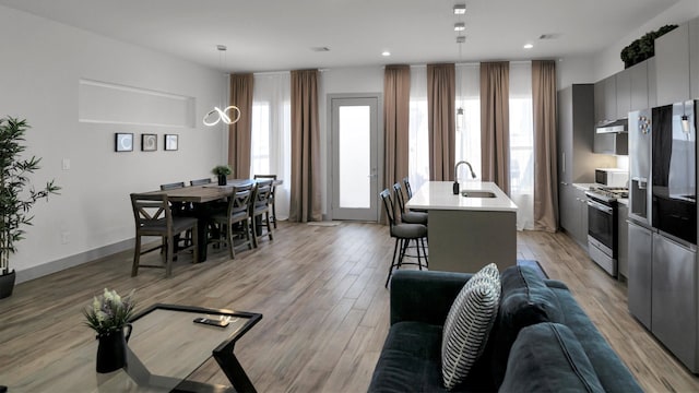 living room featuring light wood-type flooring and sink