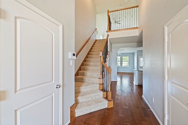 staircase with hardwood / wood-style flooring