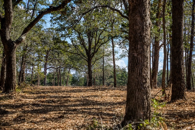 TBD Wildlife Cir, Carmine TX, 78932 land for sale