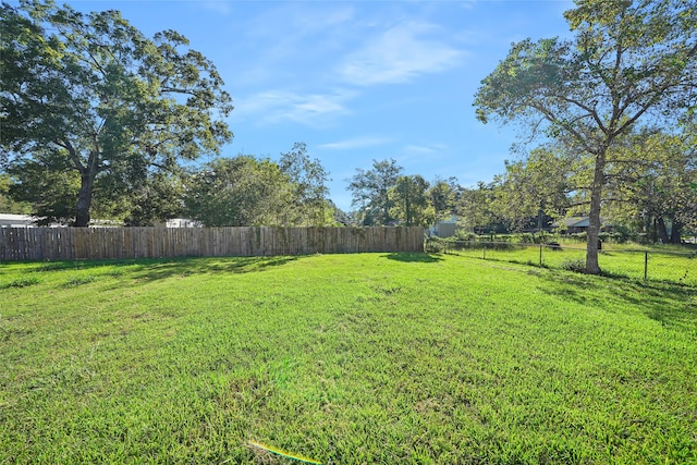 view of yard