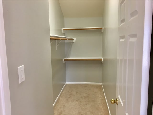 walk in closet with light carpet